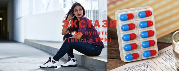 соль ск Дмитриев