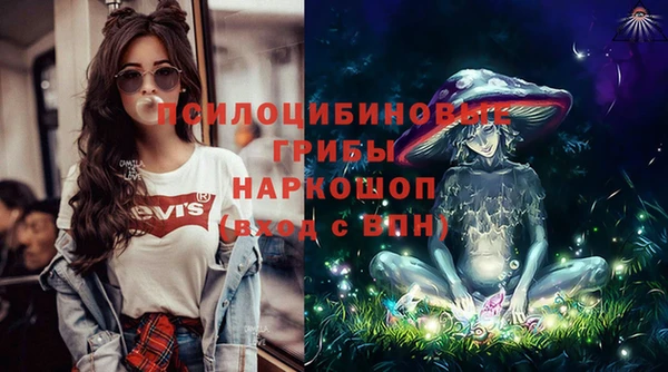 крисы Ельня