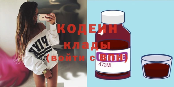 крисы Ельня