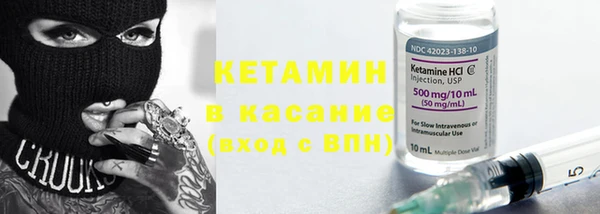 крисы Ельня