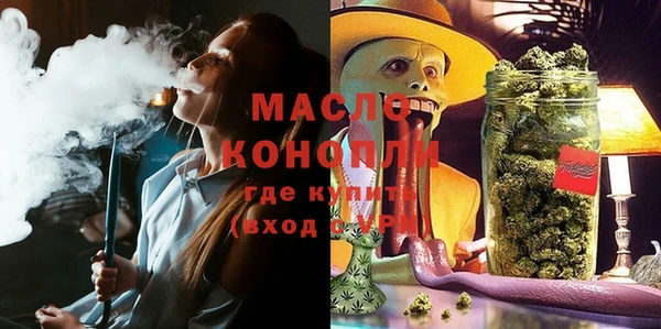 крисы Ельня