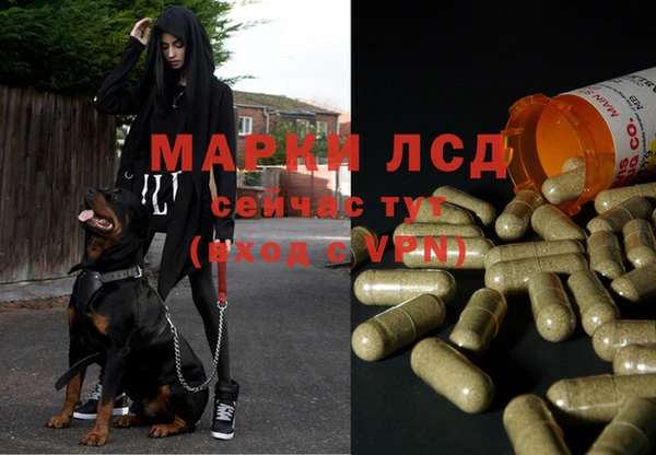 соль ск Дмитриев