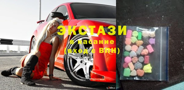 крисы Ельня