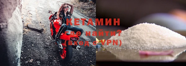 прущие грибы Заводоуковск
