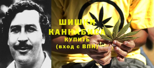 соль ск Дмитриев